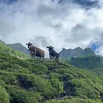 Allgaeu Traum Oberstaufen