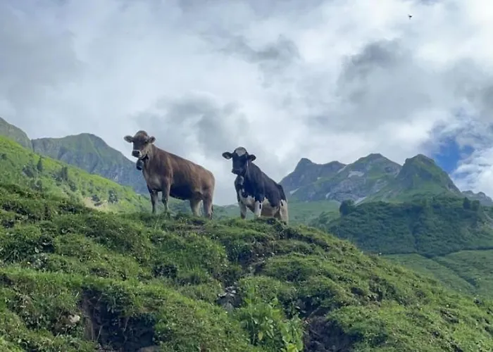 Allgaeu Traum Oberstaufen