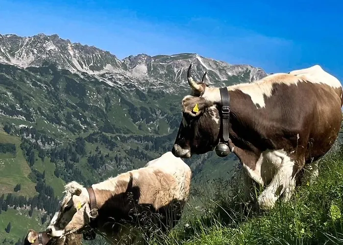 Allgaeu Traum *